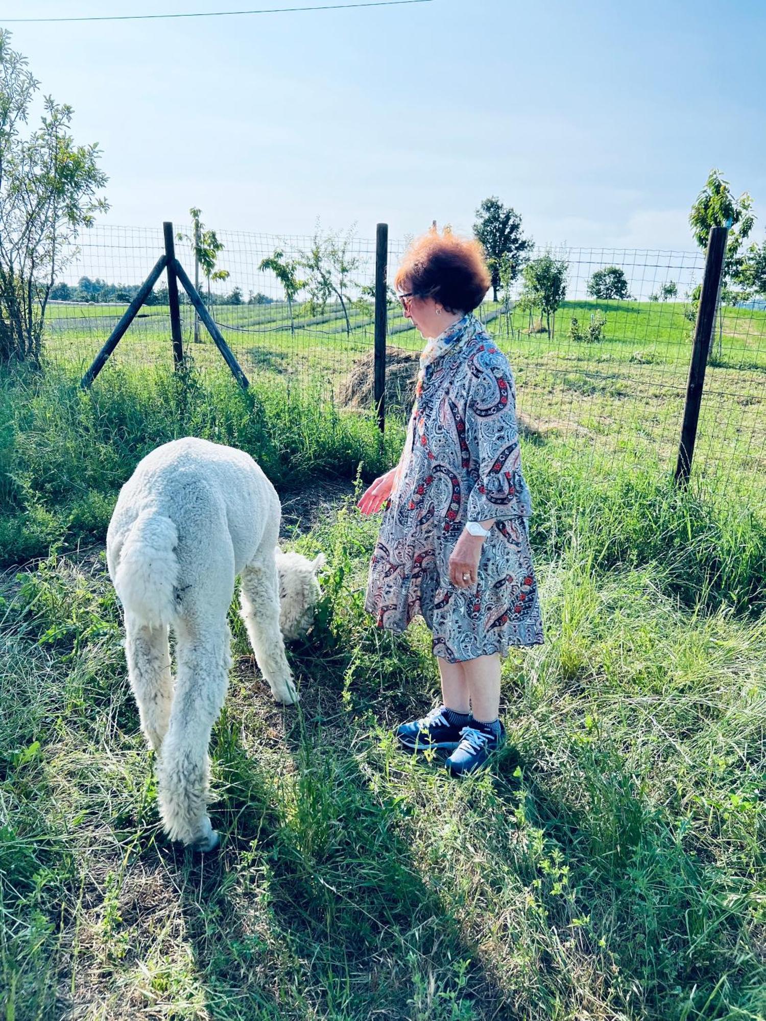 세라마쪼니 La Baita Nei Boschi 빌라 외부 사진